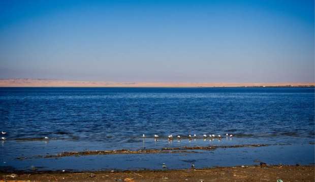 بحيرة قارون - صورة 2